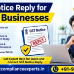 Small business owner reviewing a GST notice on the portal before drafting a reply"